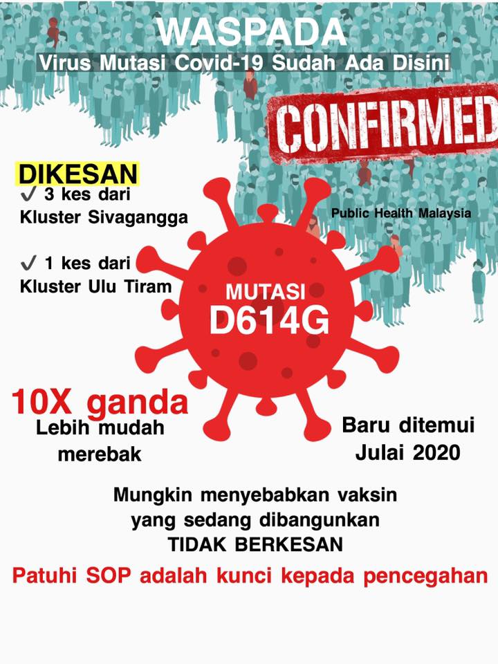 scam
